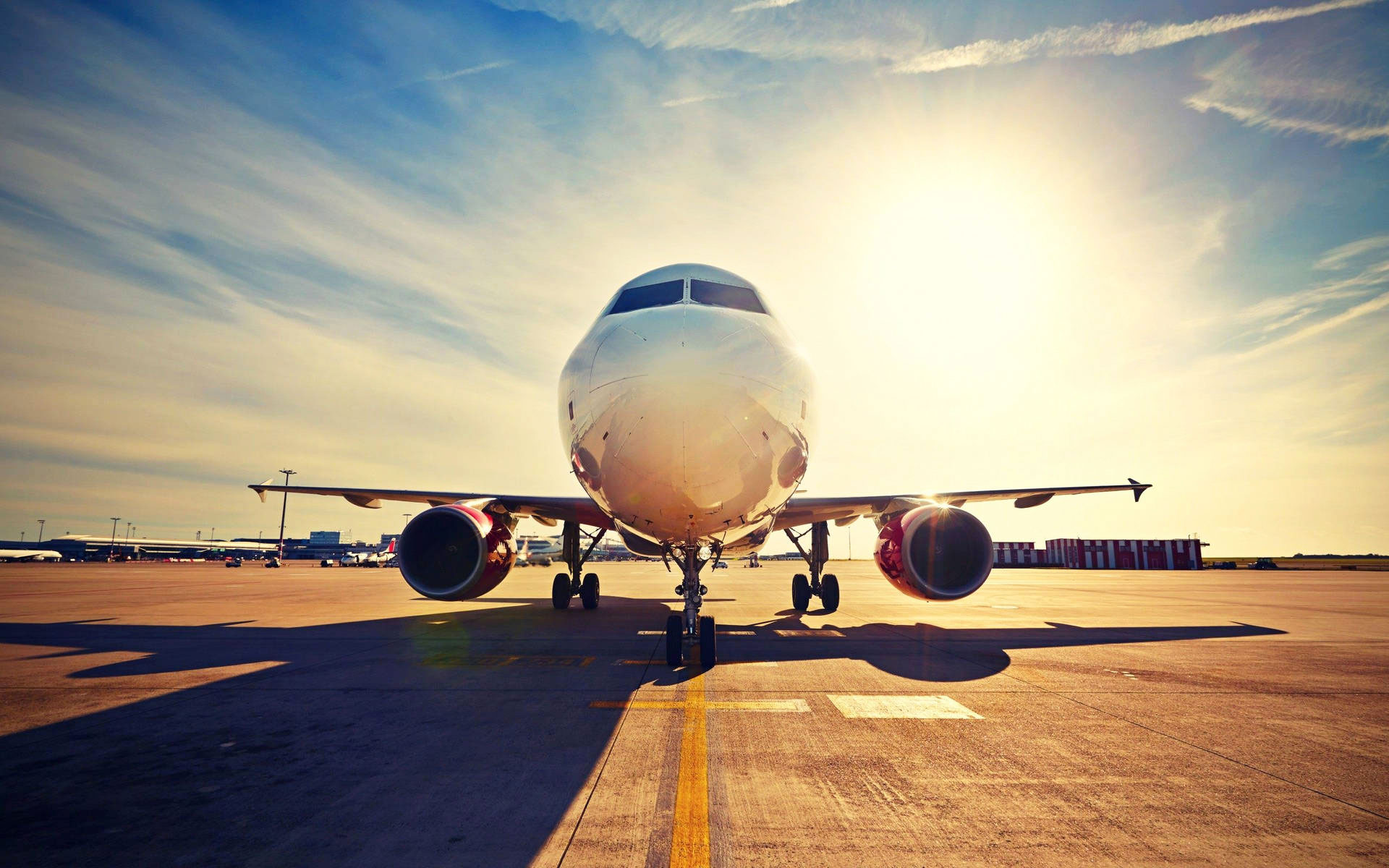 Domestic Courier Services